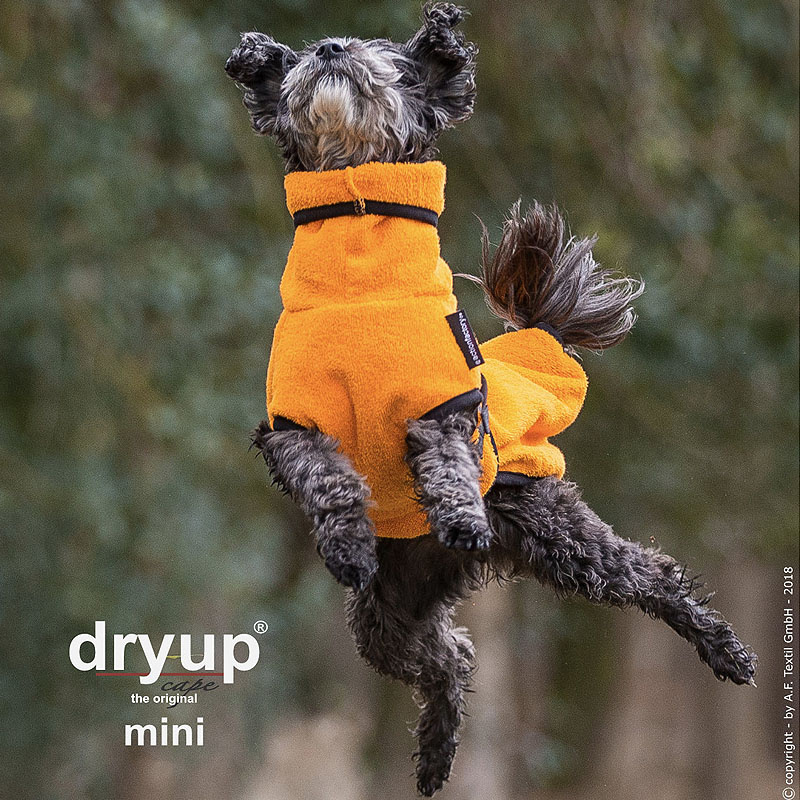 DryUp Trocken Cape Bademantel MINI für kleine Hunde in clementine ora