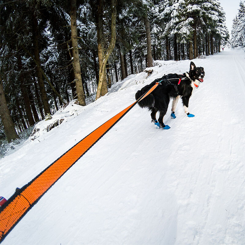 Non-stop dogwear Laufleine Bungee leash in orange schwarz