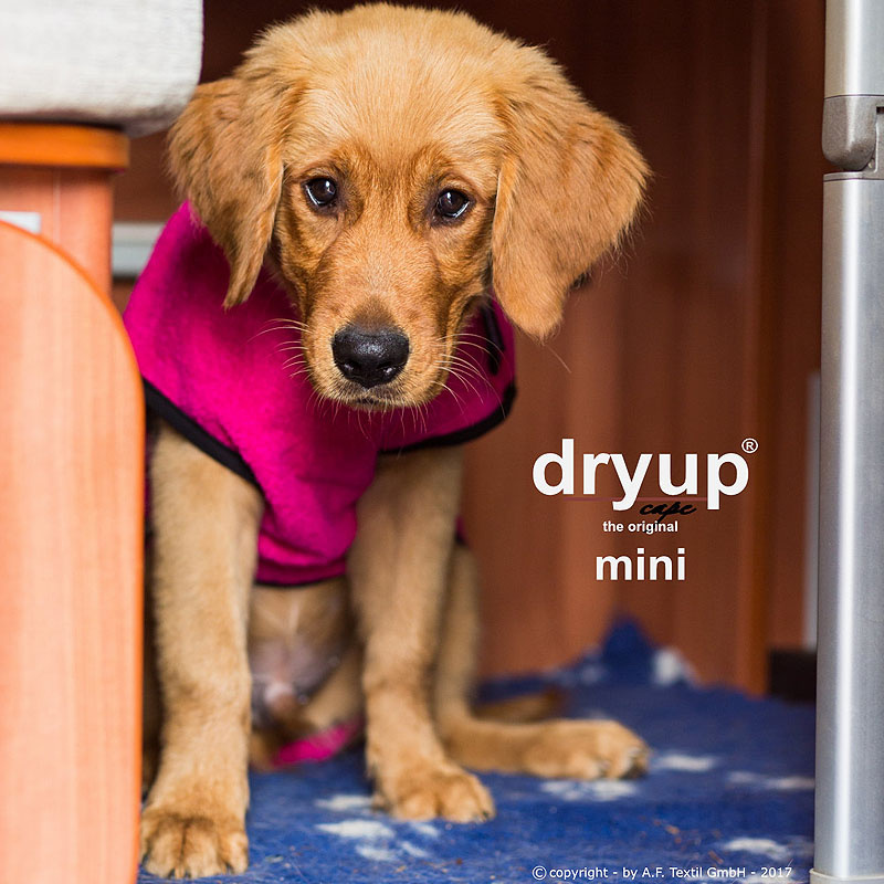 DryUp Trocken Cape Hundebademantel MINI für kleine Hunde in pink