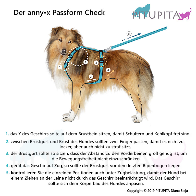 AnnyX Brustgeschirr Hundegeschirr Fun Farbe oliv M Steg normal 30cm