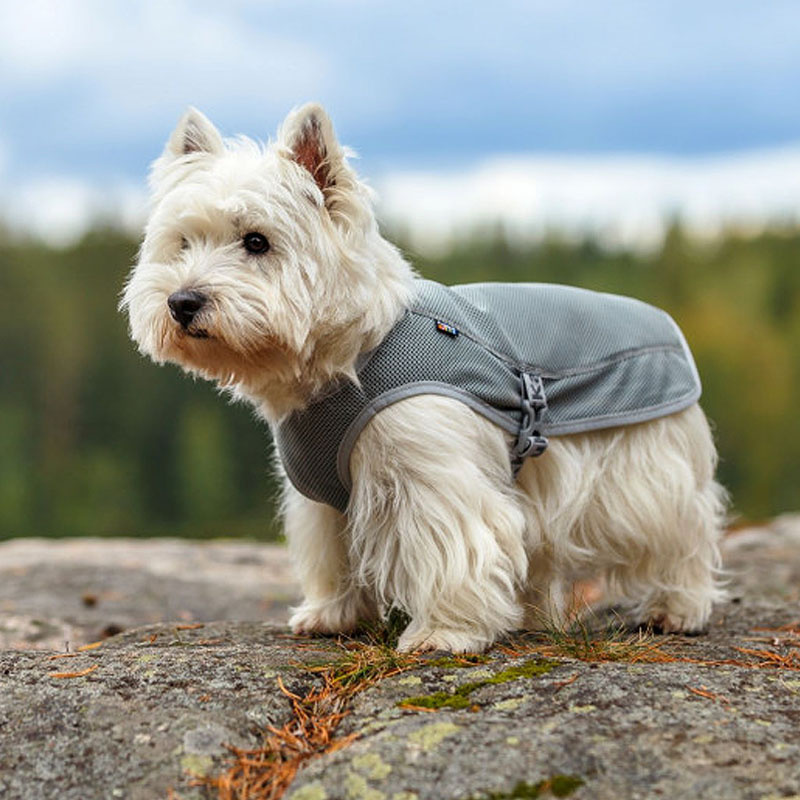 Rukka Pets Kühlweste in grau