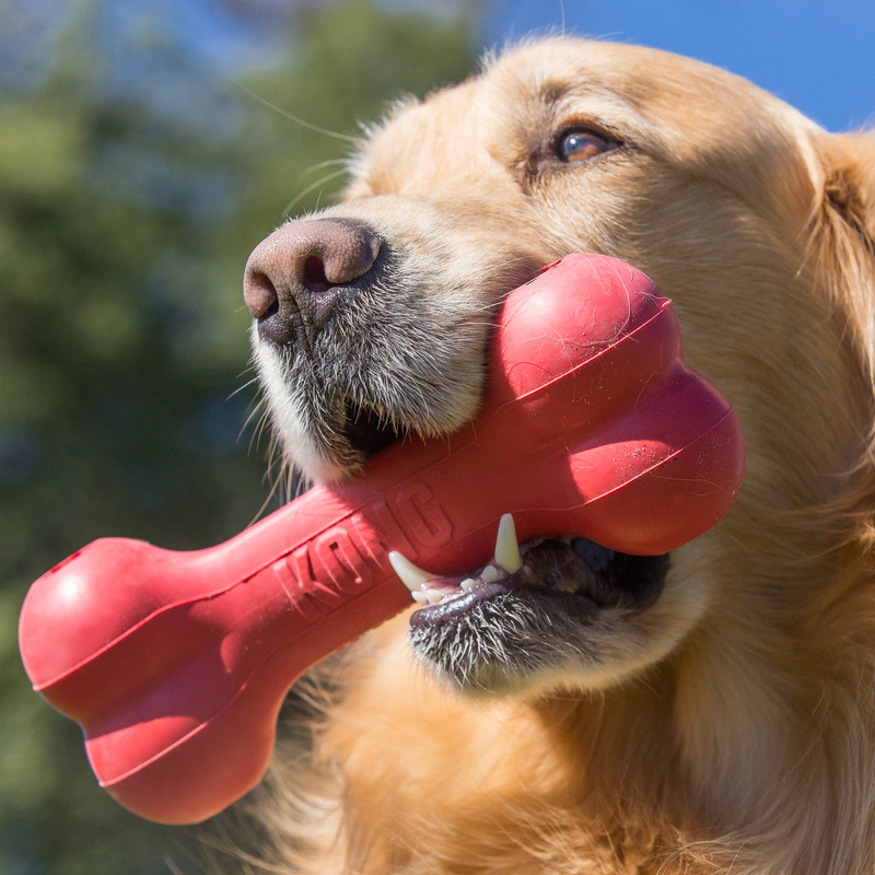 KONG  Goodie Bone leckerchen Knochen rot