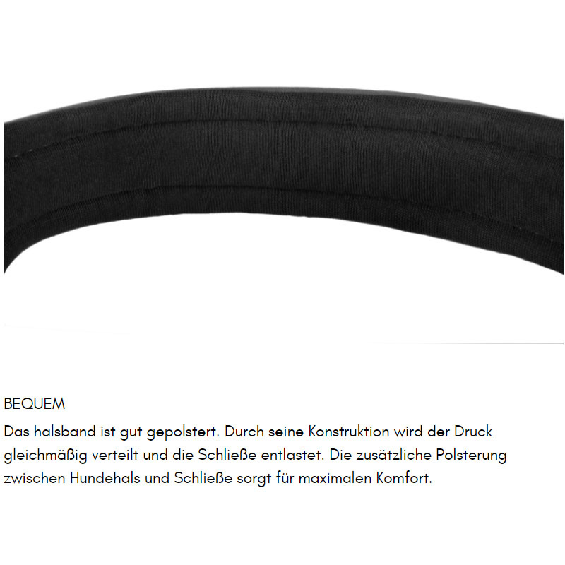 Non-stop dogwear Roam Halsband gepolstert und verstellbar in schwarz