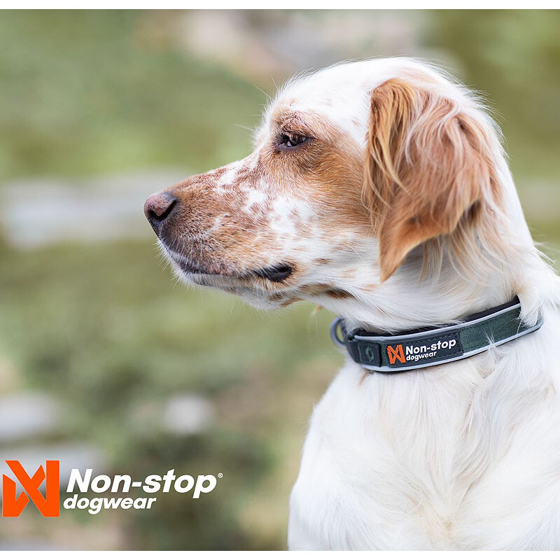 Non-stop dogwear Roam Halsband gepolstert und verstellbar in grün