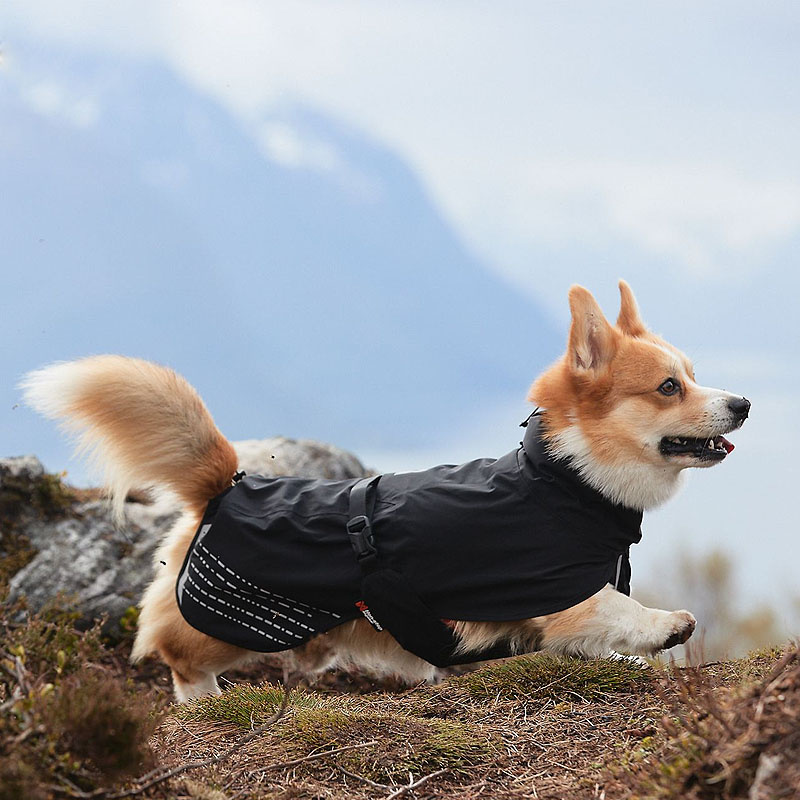 Non-stop Dogwear toller Regenmantel FJORD blau Größe 65