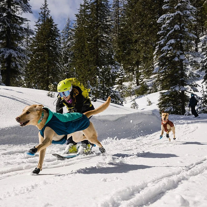 Ruffwear Vert Hundemantel in aurora teal