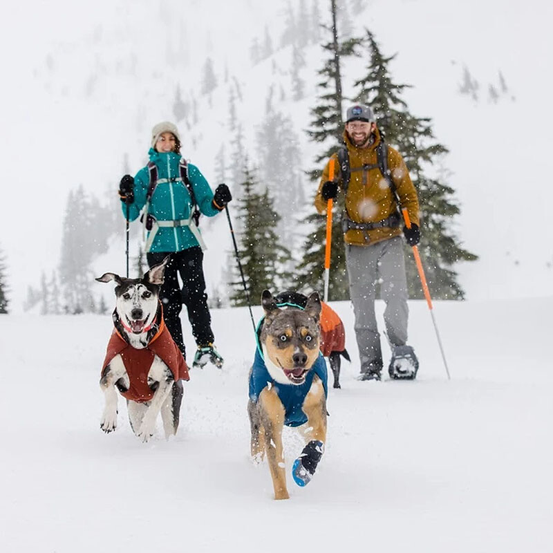 Ruffwear Vert Hundemantel in aurora teal