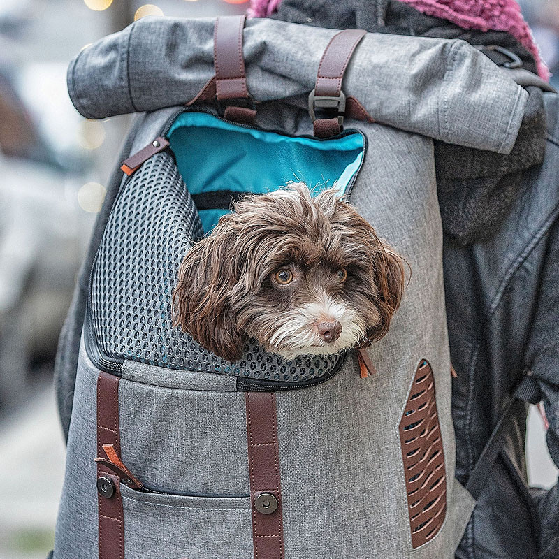 Kurgo K9 verstärkter Rucksack für Hunde schwarz elegant