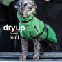 DryUp Trocken Cape Hundebademantel MINI für kleine Hunde in darkgreen dunkelgrün 40cm Rückenlänge