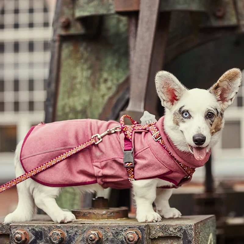 Hurtta Razzle Dazzle Pullover  Wendejacke in rosa altrosa