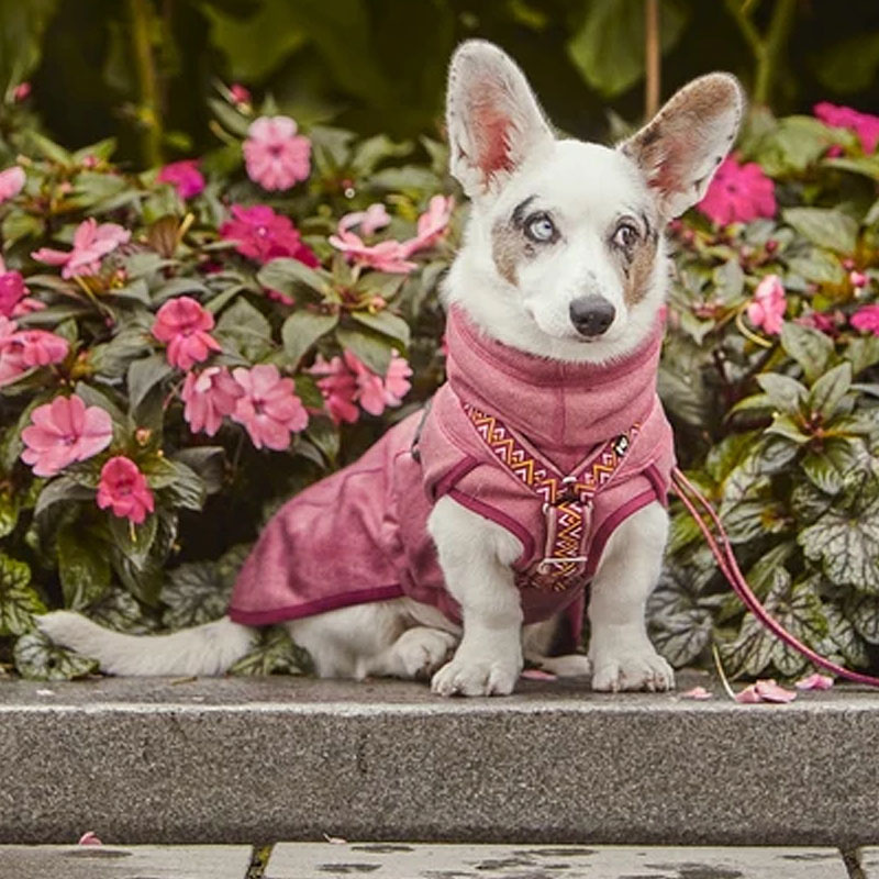 Hurtta Razzle Dazzle Pullover  Wendejacke in rosa altrosa