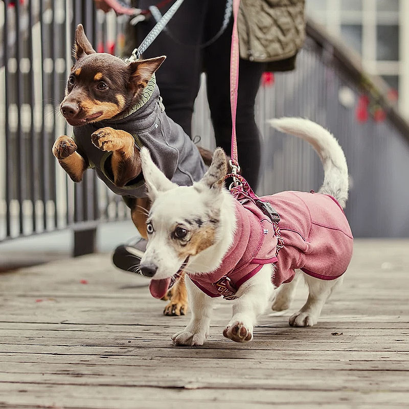 Hurtta Razzle Dazzle Pullover  Wendejacke in rosa altrosa