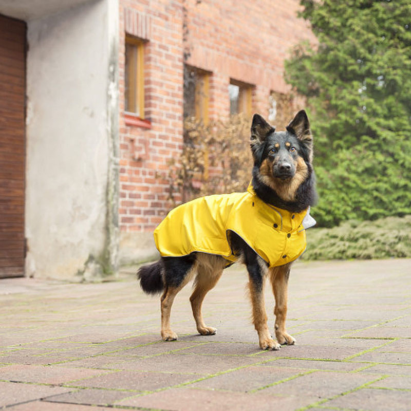 Rukka Pets Regenjacke Regenmantel Stream in gelb