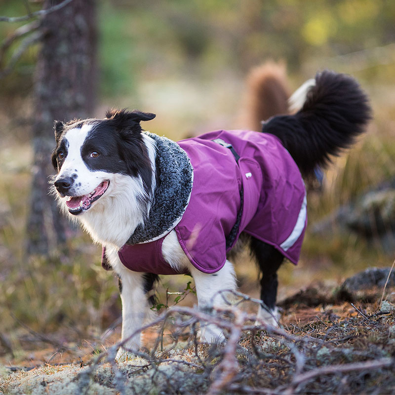 Pomppa Toppa Wintermantel in plum pflaume 31