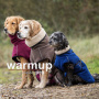 WarmUp Cape PRO Mantel MINI für kleine Hunde in blau dark blue 35cm Rückenlänge