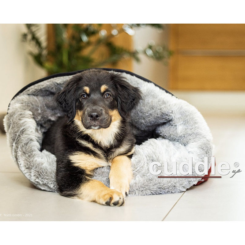 ActionFactory Cuddle Up ein Hundebett mit 3 Funktionen in burgund