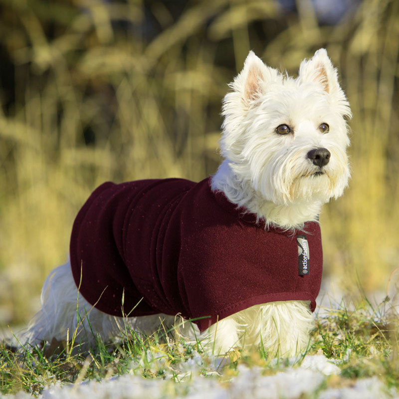 WarmUp Cape CLASSIC Mantel MINI für kleine Hunde bordeaux rot