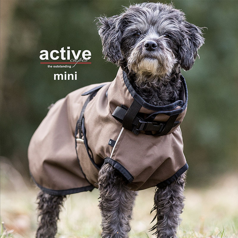 Active Cape light mini Mantel Übergangsmantel für kleine Hunde in braun