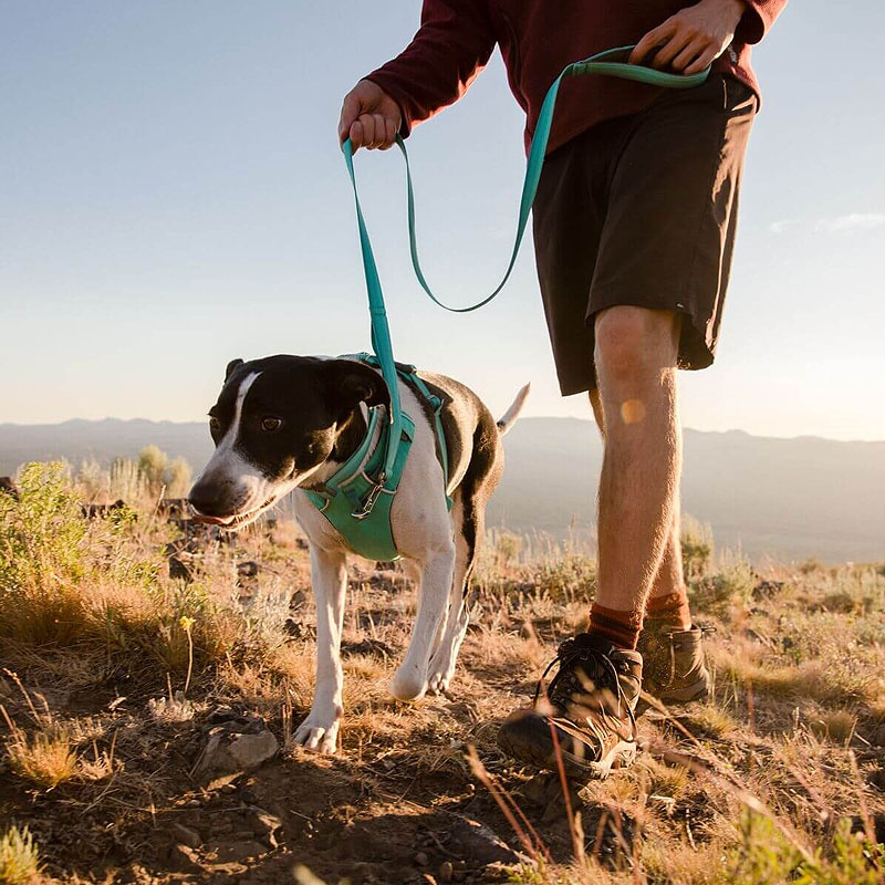 Ruffwear Front Range Leine Hundeleine in Aurora Teal mint türkis neue Ausführung