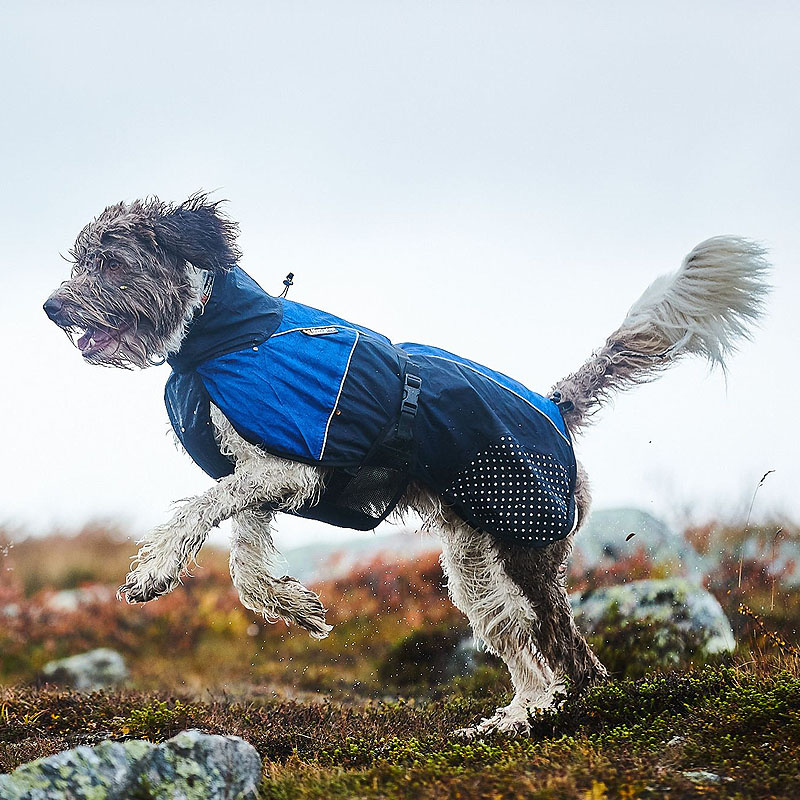 Non-stop Dogwear Regenmantel Beta Pro Raincoat in lila violett - schwarz