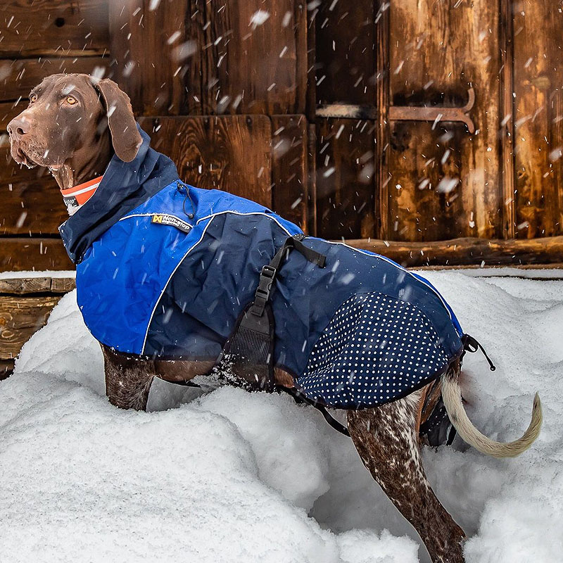 Non-stop Dogwear Regenmantel Beta Pro Raincoat in lila violett - schwarz