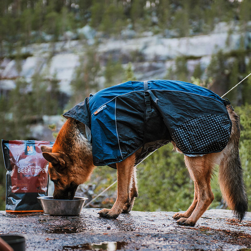 Non-stop Dogwear Regenmantel Beta Pro Raincoat in orange - schwarz