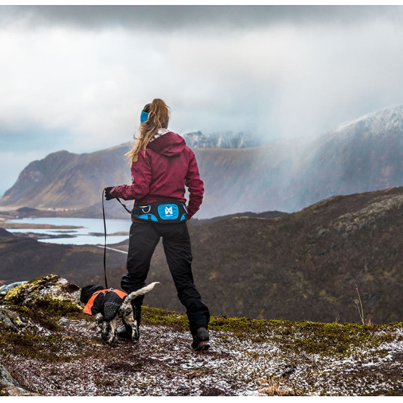 Non-stop dogwear Ferd Belt Gurt Bauchgurt zum Wandern blau