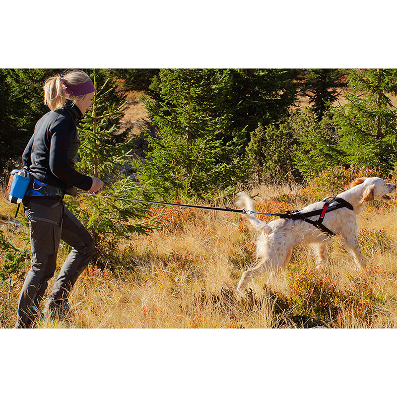 Non-stop dogwear Tasche für Ferd Belt Bauchgurt zum Wandern blau