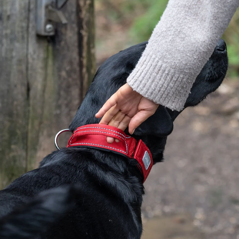 Rukka Pets Halsband Mission in rot mit Griff