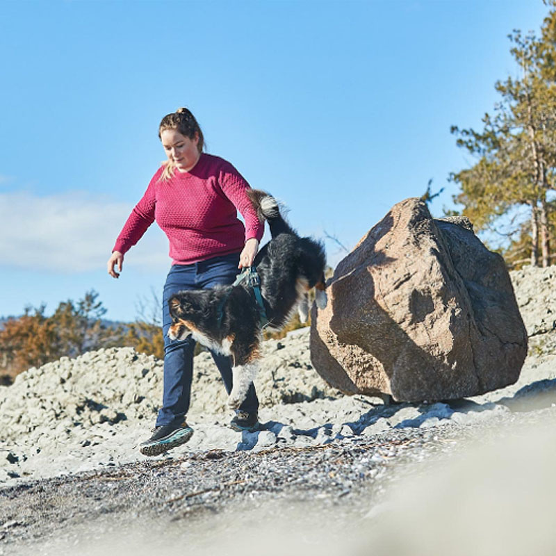 Non-stop dogwear Ramble Brustgeschirr Hundegeschirr in orange schwarz