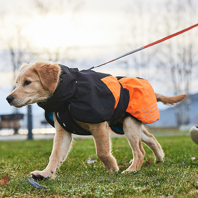 Non-stop Dogwear Wintermantel Glacier Jacket 2.0 in orange schwarz