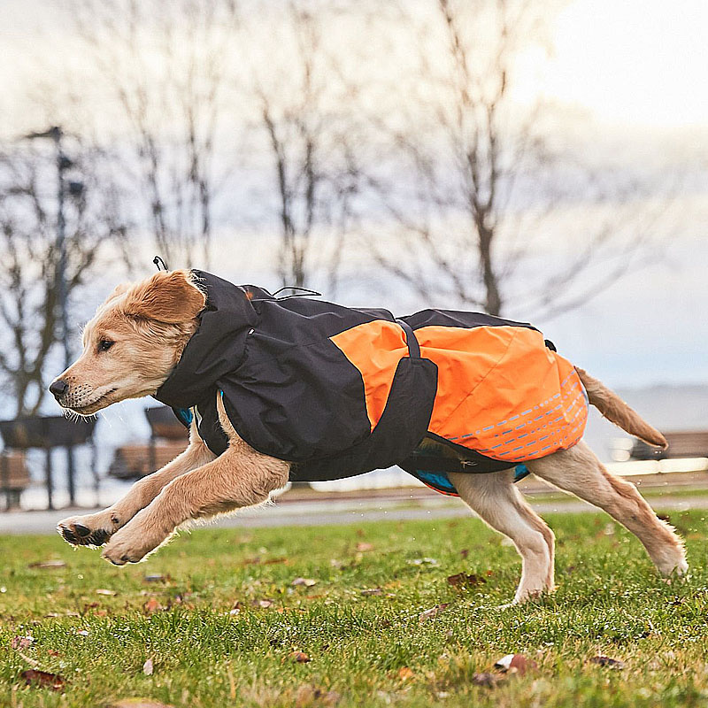 Non-stop Dogwear Wintermantel Glacier Jacket 2.0 in orange schwarz