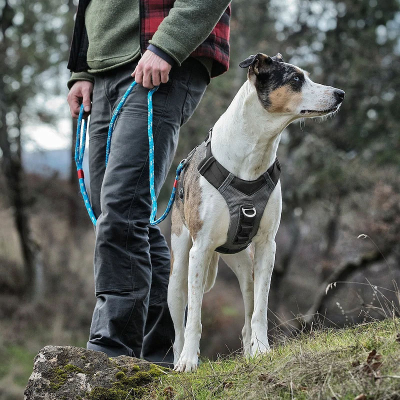 Kurgo Journey Air Brustgeschirr Hundegeschirr in schwarz