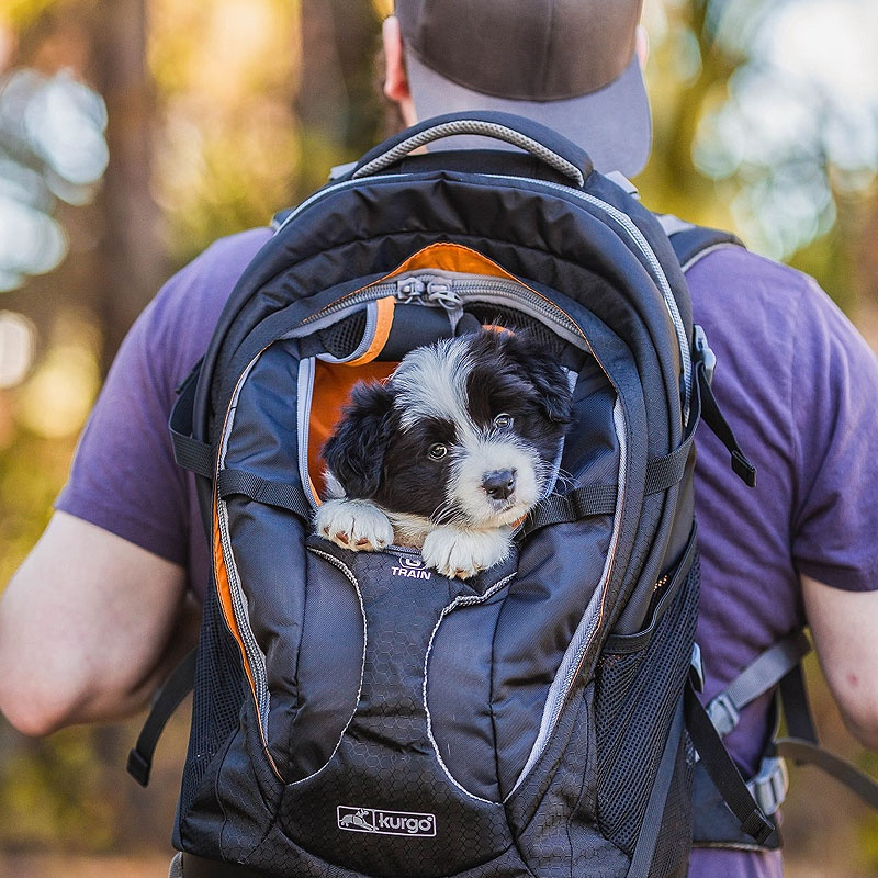 Kurgo K9 G-Train verstärkter Rucksack & Tragetasche für Hunde in navy blau