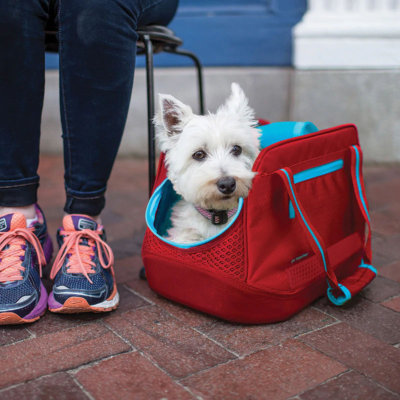 Kurgo Explorer Tragetasche klein in rot für Hunde bis 5,5 kg