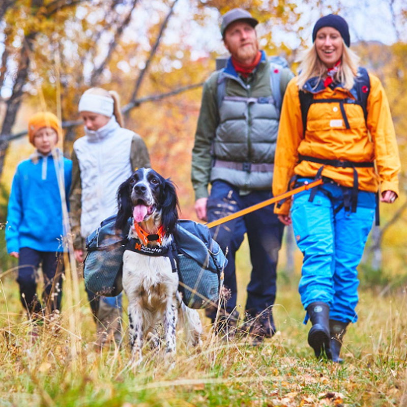 Non-stop dogwear Amundsen Pak Hunderucksack in grau schwarz