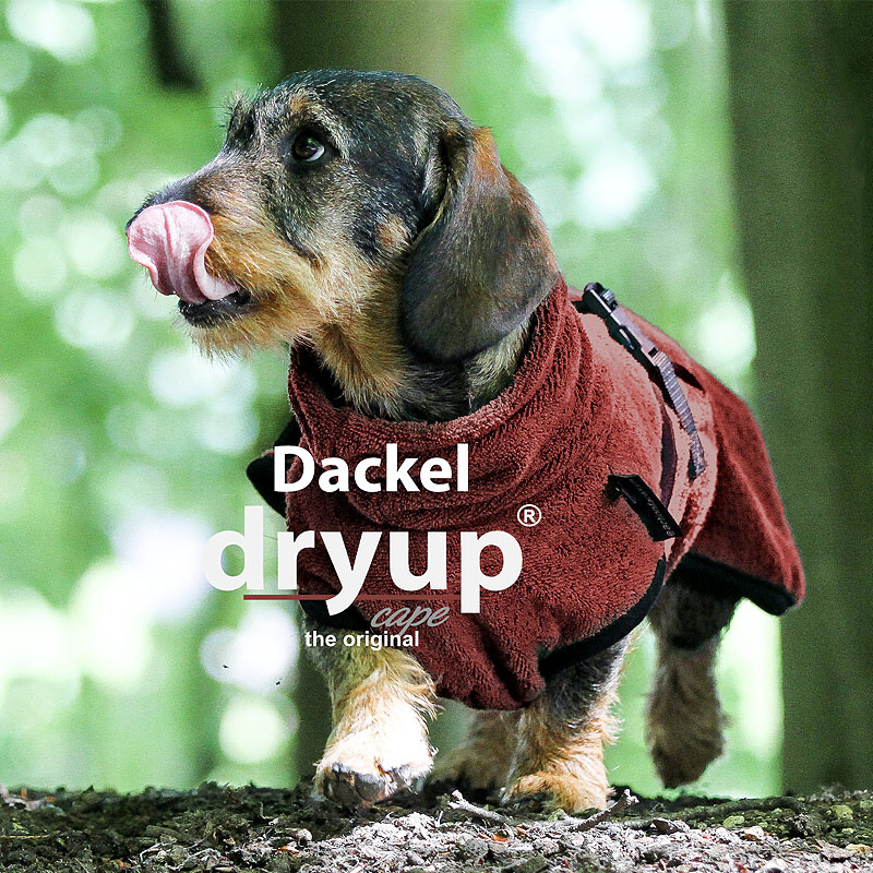 DryUp Trocken Cape Hundebademantel Trockenmantel  für Dackel in bordeaux rot