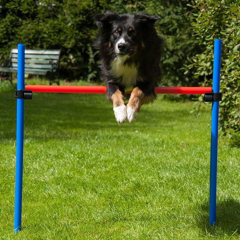 Agility Hundetraining Set mit Tunnel Springring Slalom K2