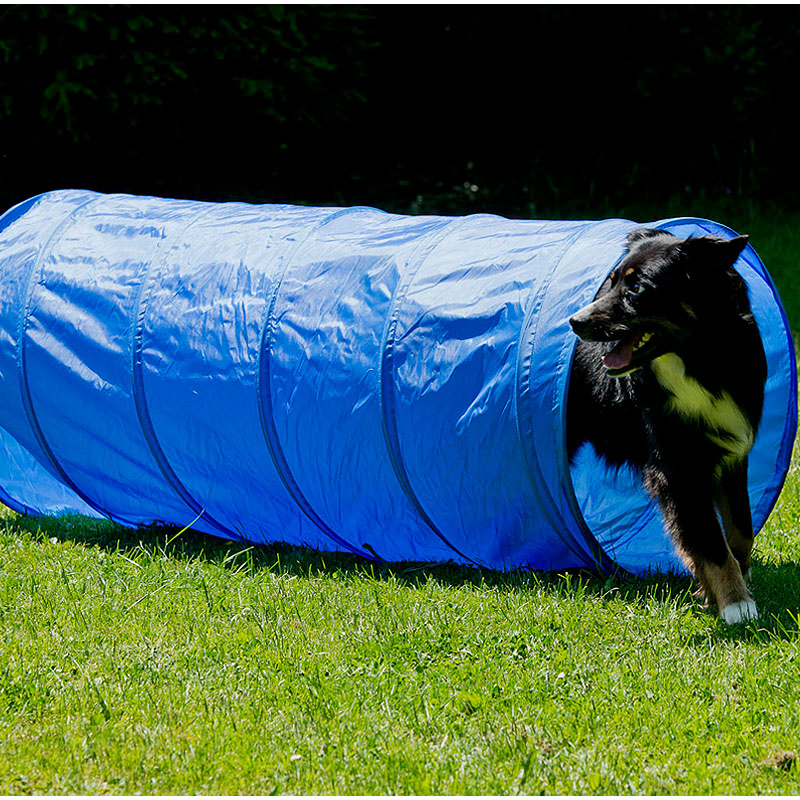 Agility Hundetraining Set mit Tunnel Springring Slalom K2