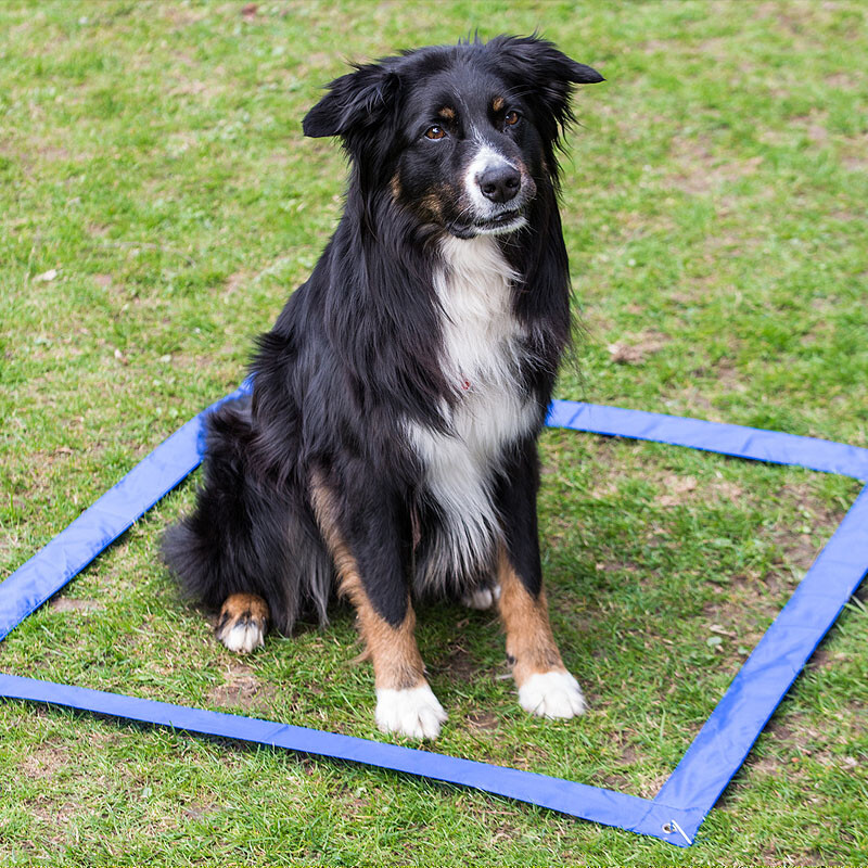 Agility Hundetraining Set mit Tunnel Springhürde Slalom Start