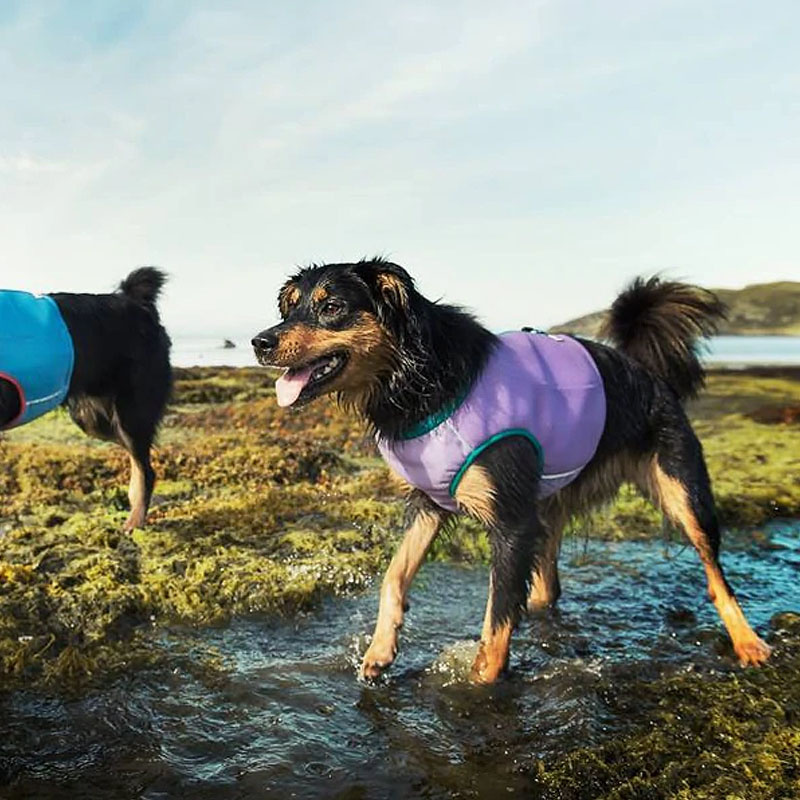 Hurtta Kühlweste für Hunde in blau