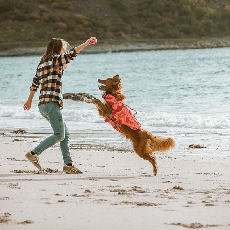 Hurtta Schwimmweste für Hunde in coral rot camouflage