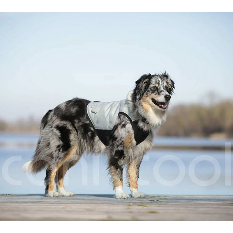 cani.cool Kühlweste für Hunde kühlt bis zu 72 Stunden