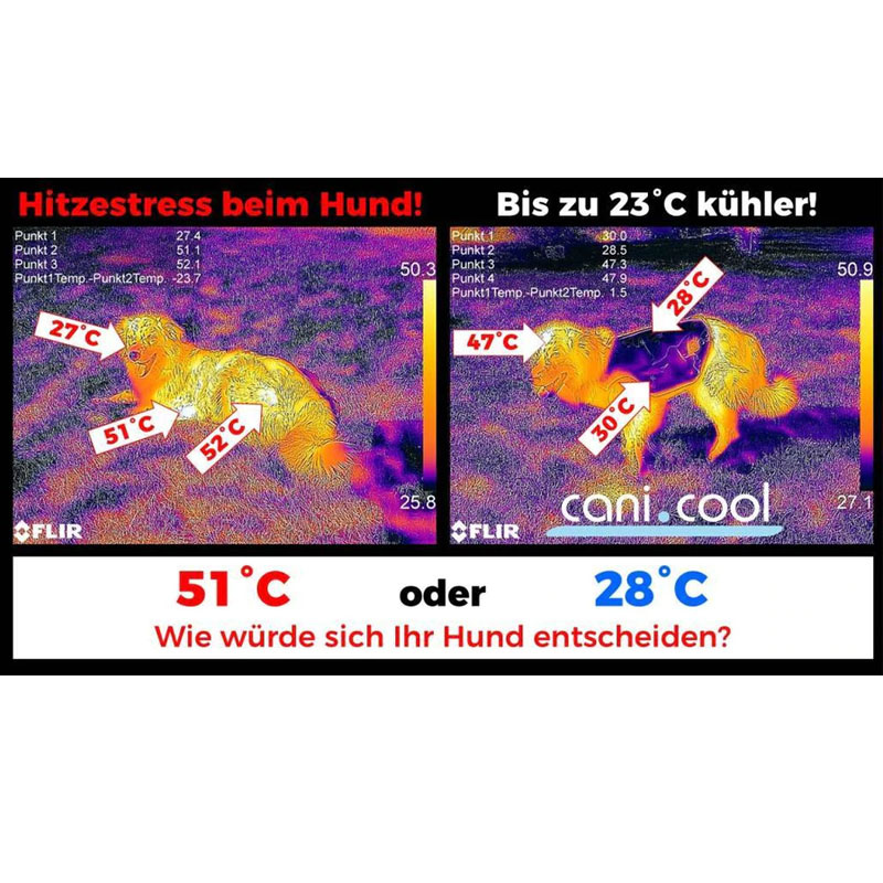 cani.cool Kühlweste für Hunde kühlt bis zu 72 Stunden