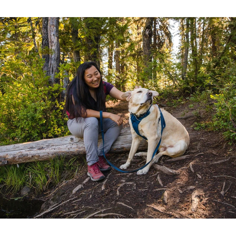 Ruffwear Brustgeschirr Front Range Purple Sage lila violett