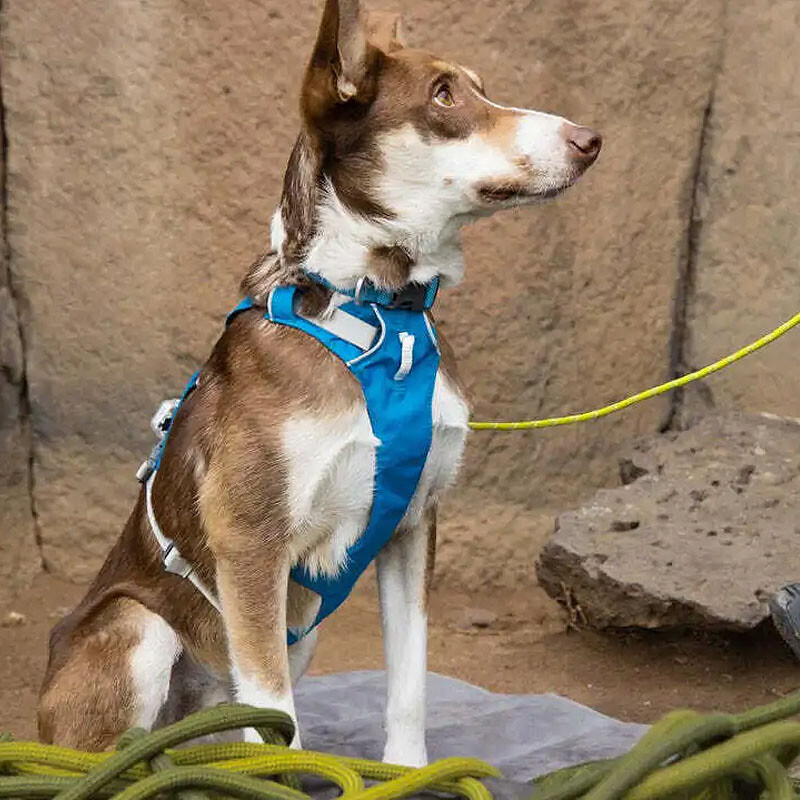 Ruffwear Sicherheitsgeschirr Flagline Sage Green grün