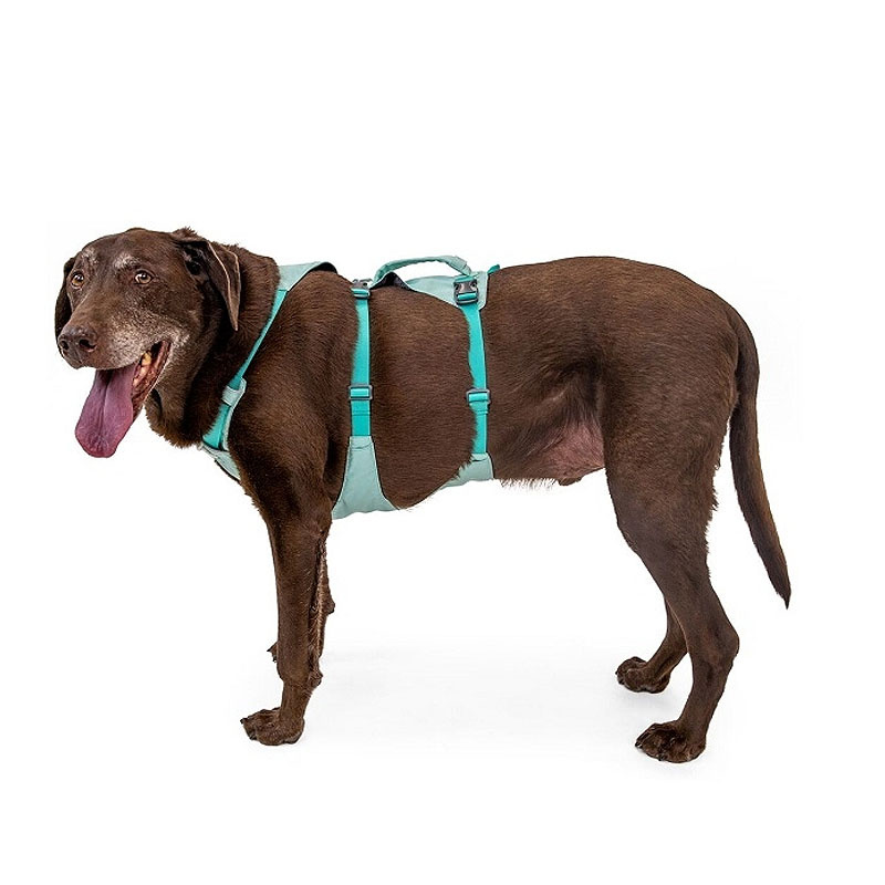 Ruffwear Sicherheitsgeschirr Flagline Sage Green grün