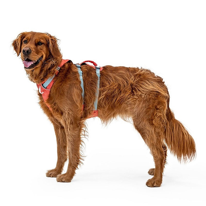 Ruffwear Sicherheitsgeschirr Flagline Salmon Pink