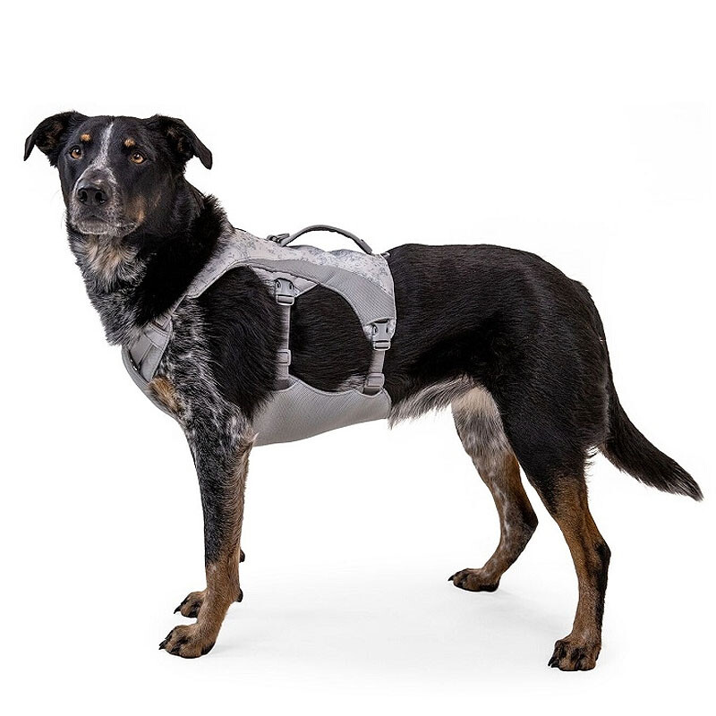 Ruffwear Hundegeschirr Swamp Cooler zum kühlen Graphite Gray grau