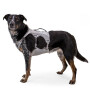 Ruffwear Hundegeschirr Swamp Cooler zum kühlen Graphite Gray grau M